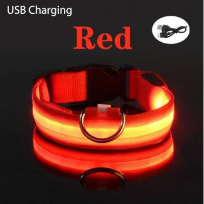 LED Glowing Dog Collar Adjustable Flashing Rechargea Luminous Collar Night Anti-Lost Dog Light HarnessFor Small Dog Pet Products