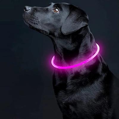 Led Dog Collar Luminous Usb Ca...