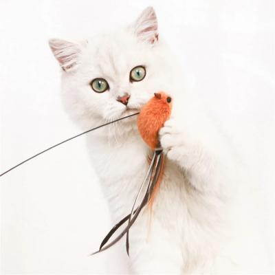 Simulated Bird Cat Toys Upgraded Epoxy Sucker Steel Wire Long Rod Feather Cat Teasing Stick Cat Self Hi No Harmful Ingredients