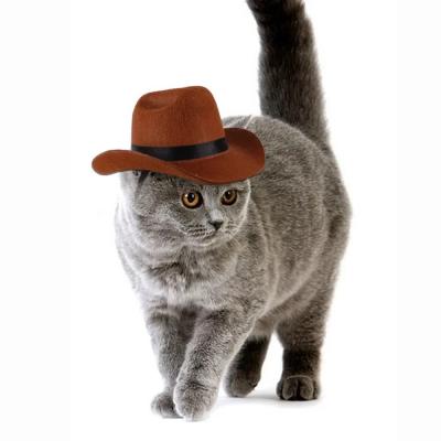 Dog Cowboy Hat Dogs Cat Outdoo...