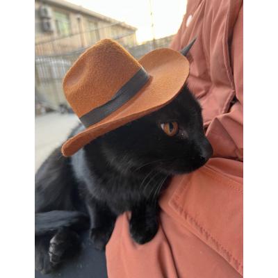 Dog Cowboy Hat Dogs Cat Outdoor Hats Adjustable Caps Fashion for Small Medium Dogs Cats Headwear Pet Accessories