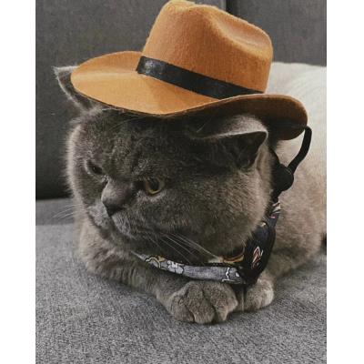 Dog Cowboy Hat Dogs Cat Outdoor Hats Adjustable Caps Fashion for Small Medium Dogs Cats Headwear Pet Accessories