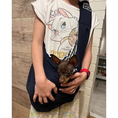 Adjustable Pet Dog Carrier Bag Outdoor Travel Puppy Single Shoulder Bags Dogs Comfort Sling Handbag Corgi Puppy Tote Pouch