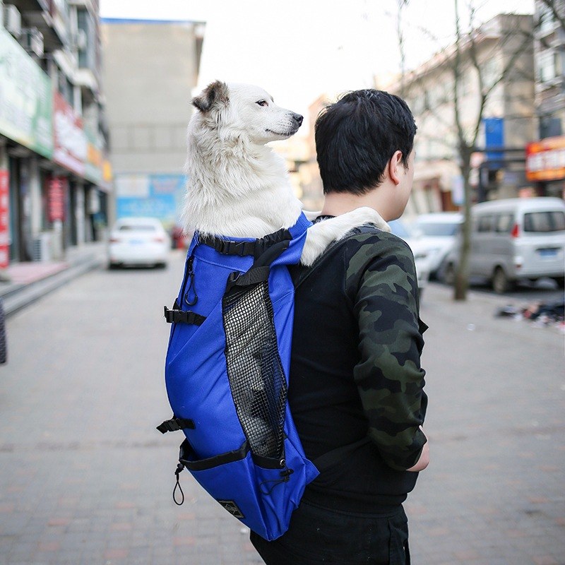 Pet Dog Carrier Bag Carrier For Dogs Backpack Out Double Shoulder Portable Travel Backpack Outdoor Dog Carrier Bag Travel thumbnail 5