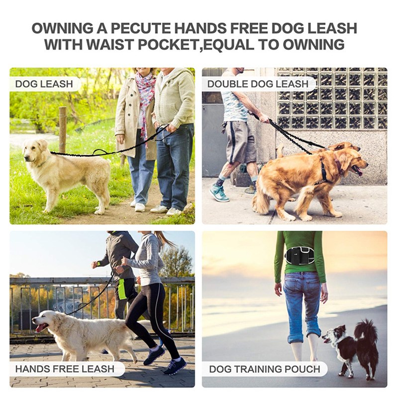 Dog Training Leash Waist Bag Hands-Free Outdoor Pet Running Walking Leash Portable Dog Food Water Cup Storage Bags thumbnail 2